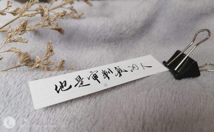 小蘑菇