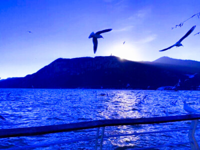 杨超越/沈舒桃
“在？跟我谈个永不分手的恋爱吗？”
cr十三幺