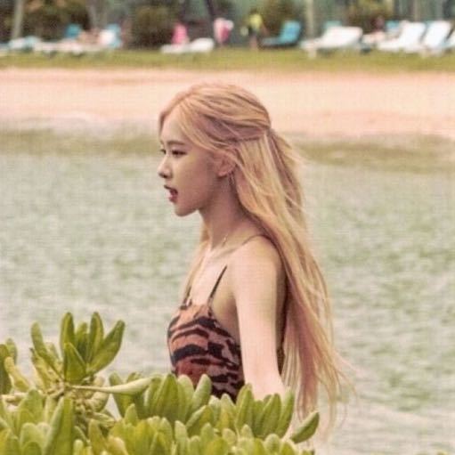 rosé