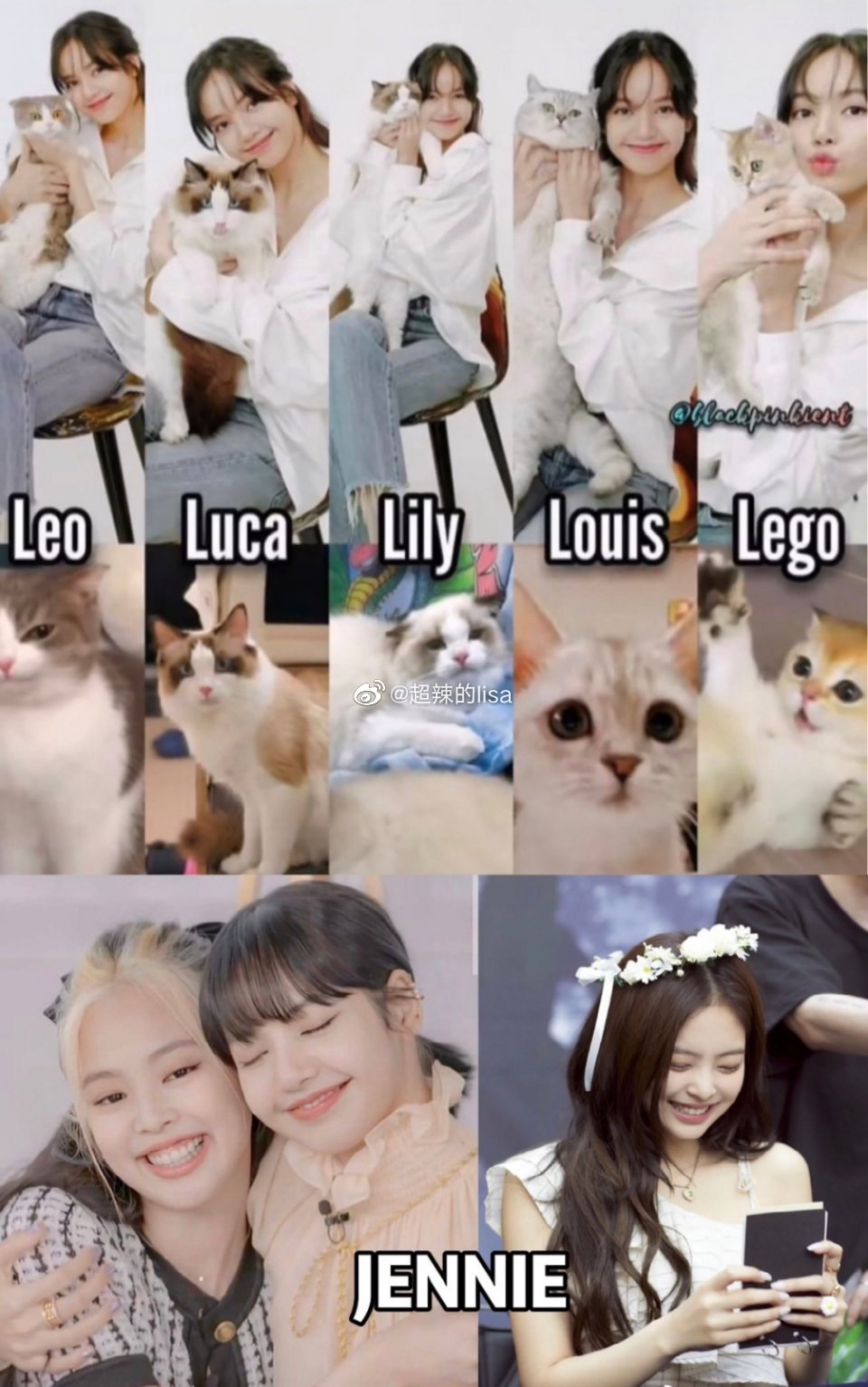 jenlisa