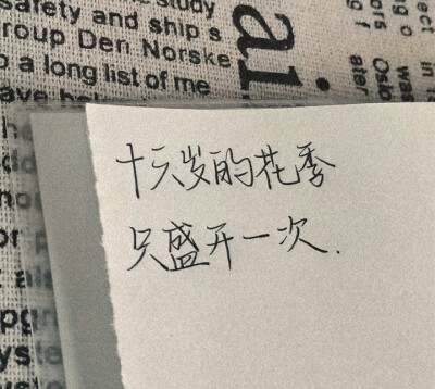 “世事千帆过，路的尽头会是温柔与月光。”