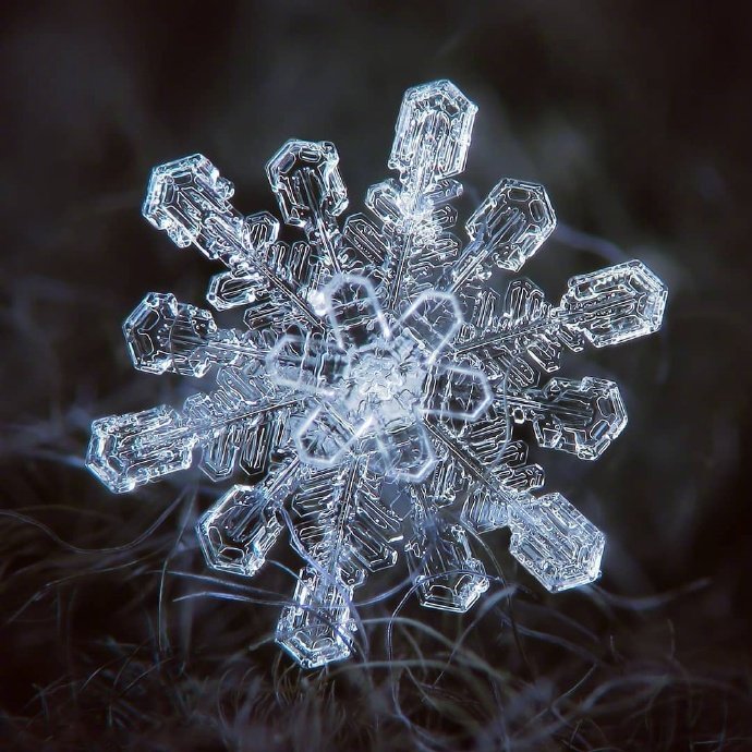 没有一片相同的雪花