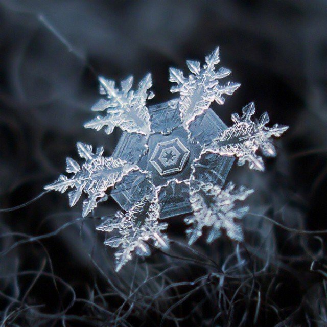 没有一片相同的雪花