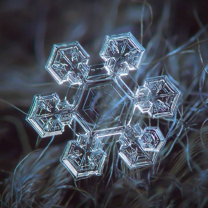 没有一片相同的雪花