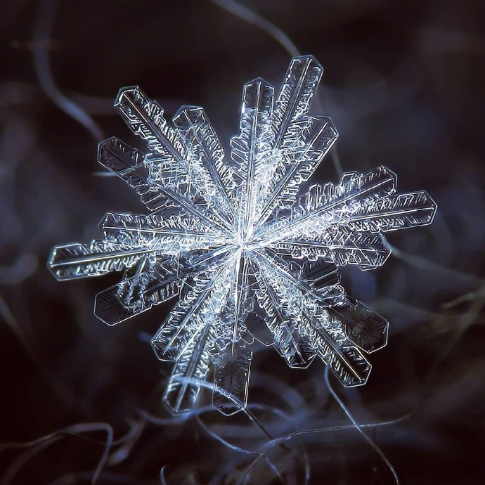 没有一片相同的雪花