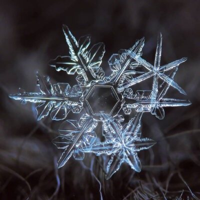 没有一片相同的雪花