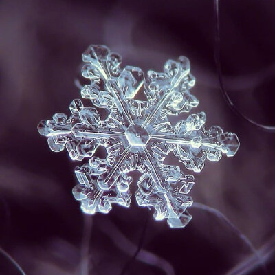 没有一片相同的雪花