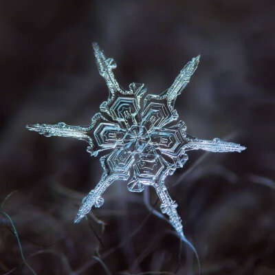 没有一片相同的雪花