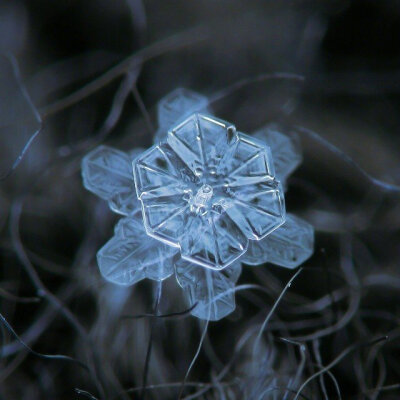 没有一片相同的雪花