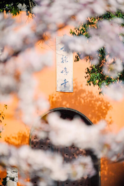 玄武湖、鸡鸣寺  @月下长相忆
豆瓣