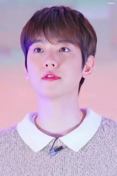 边伯贤
今天是边老师！