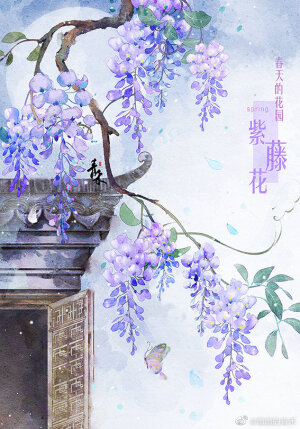 植物