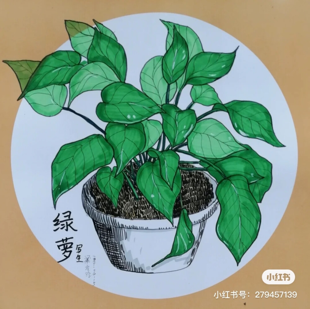 线描

