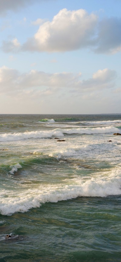 浪漫至死不渝