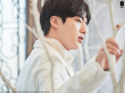 金硕珍
Korea fancafe 'Chapter 2.' BEHIND CUT_Jin