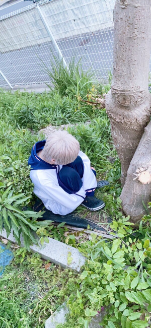 全是唱见꒰´•͈⌔•͈⑅꒱ ​​​