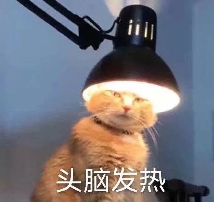 小猫咪表情包