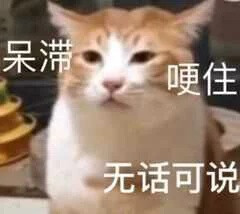 小猫咪表情包