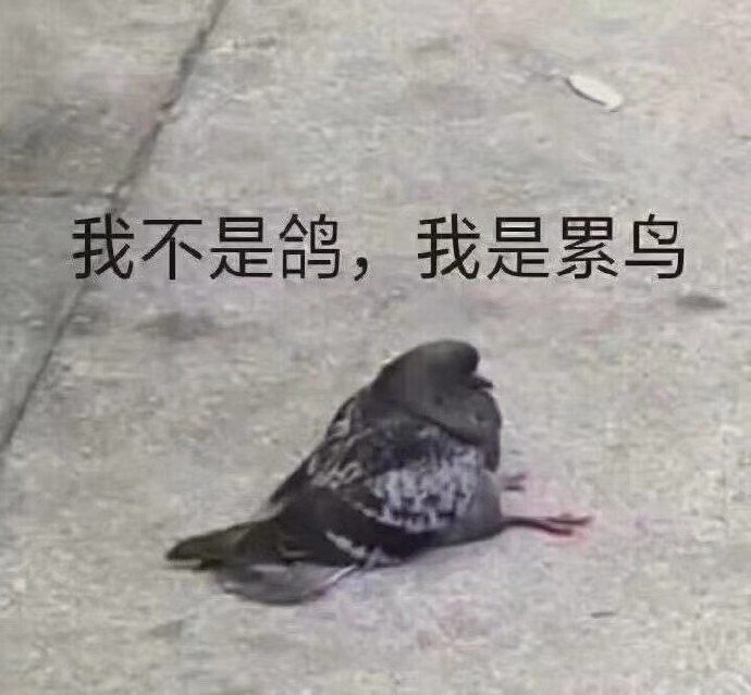 表情包