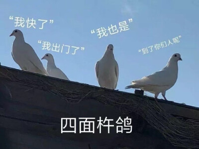 表情包