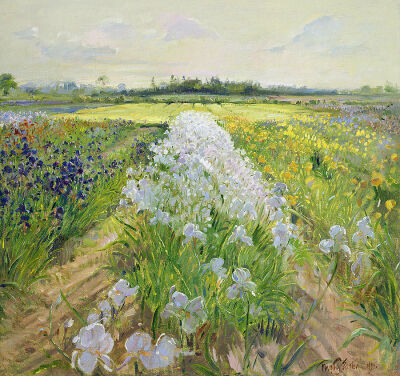 油畫 ：TIMOTHY EASTON