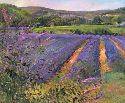 油畫 ：TIMOTHY EASTON