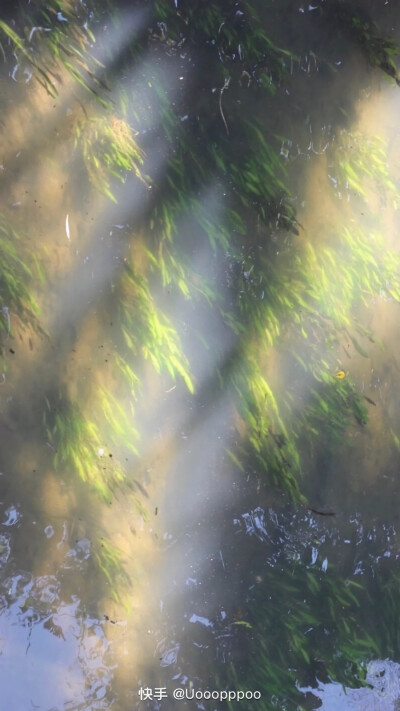 自己存的壁纸，清空一下手机内存