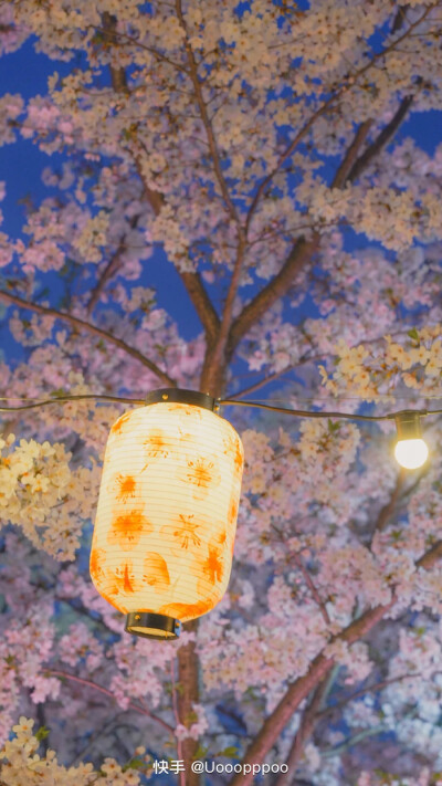 自己存的壁纸，清空一下手机内存