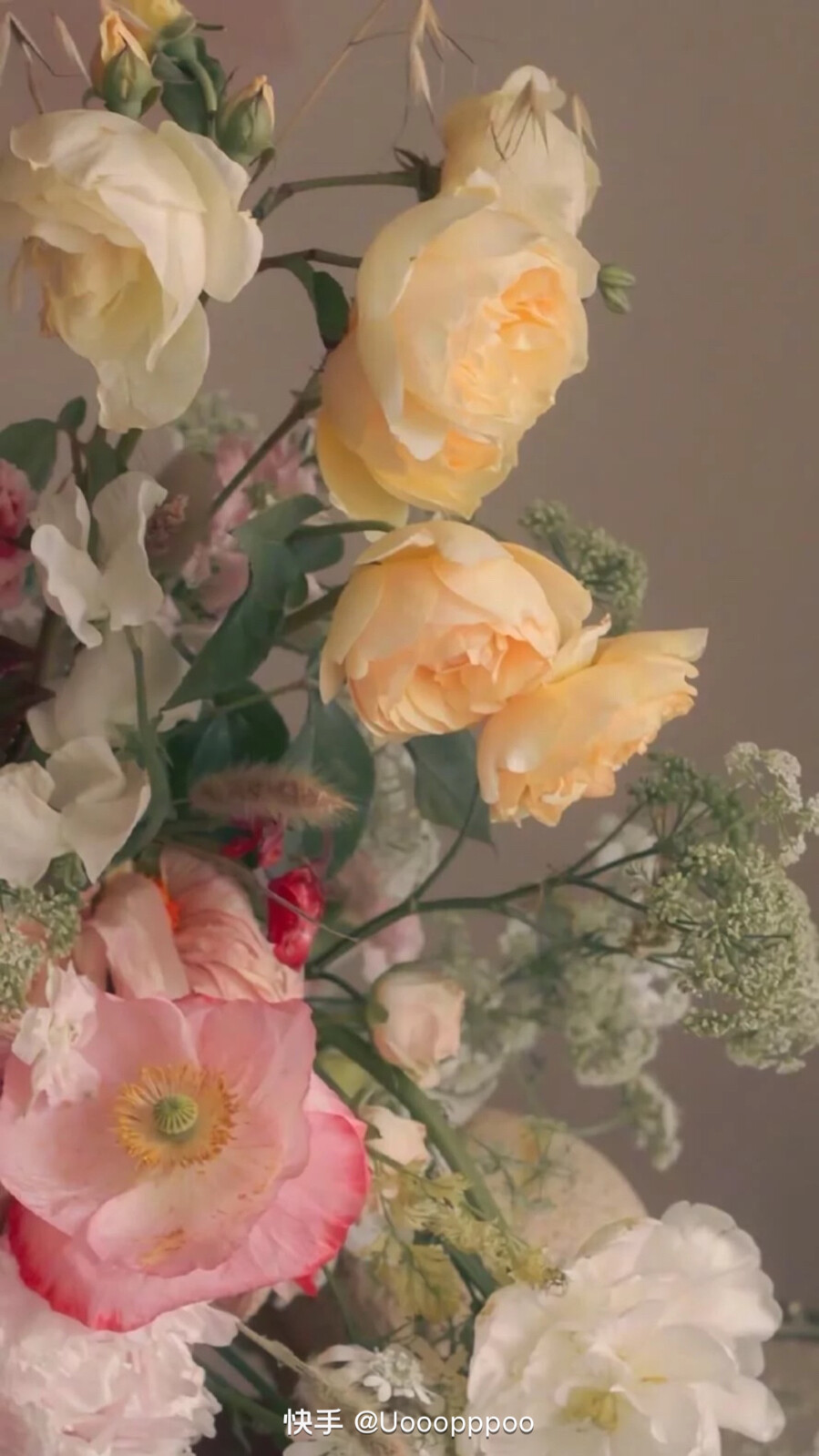 自己存的壁纸，清空一下手机内存