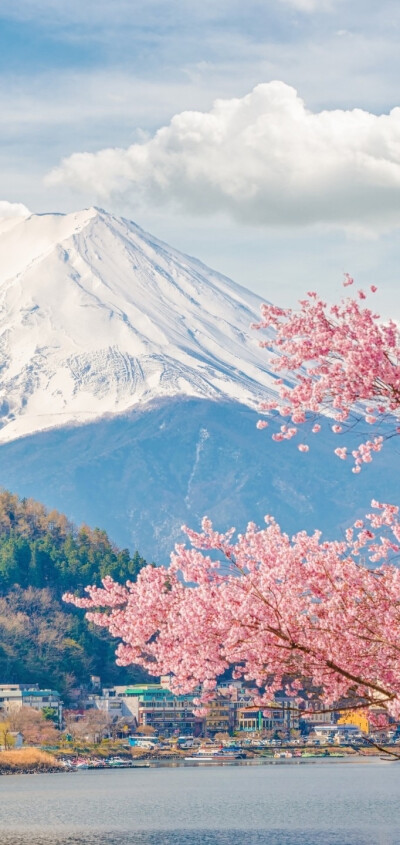 富士山
