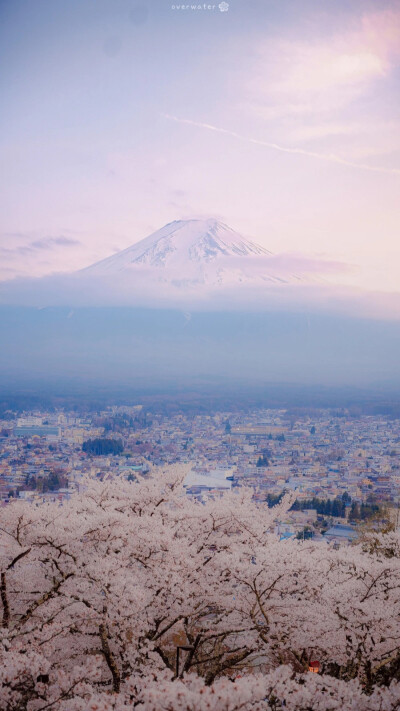 富士山
