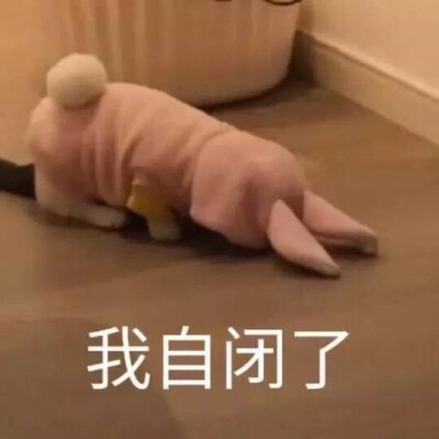 鄙视偷图