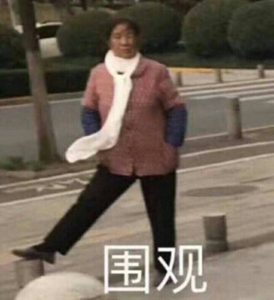 鄙视偷图