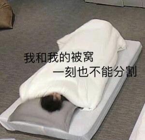 ♥️ 表情包