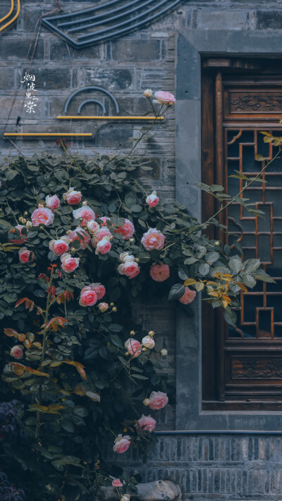 来自微博，烟波里的棠