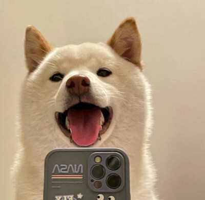 头像是我 不满意?