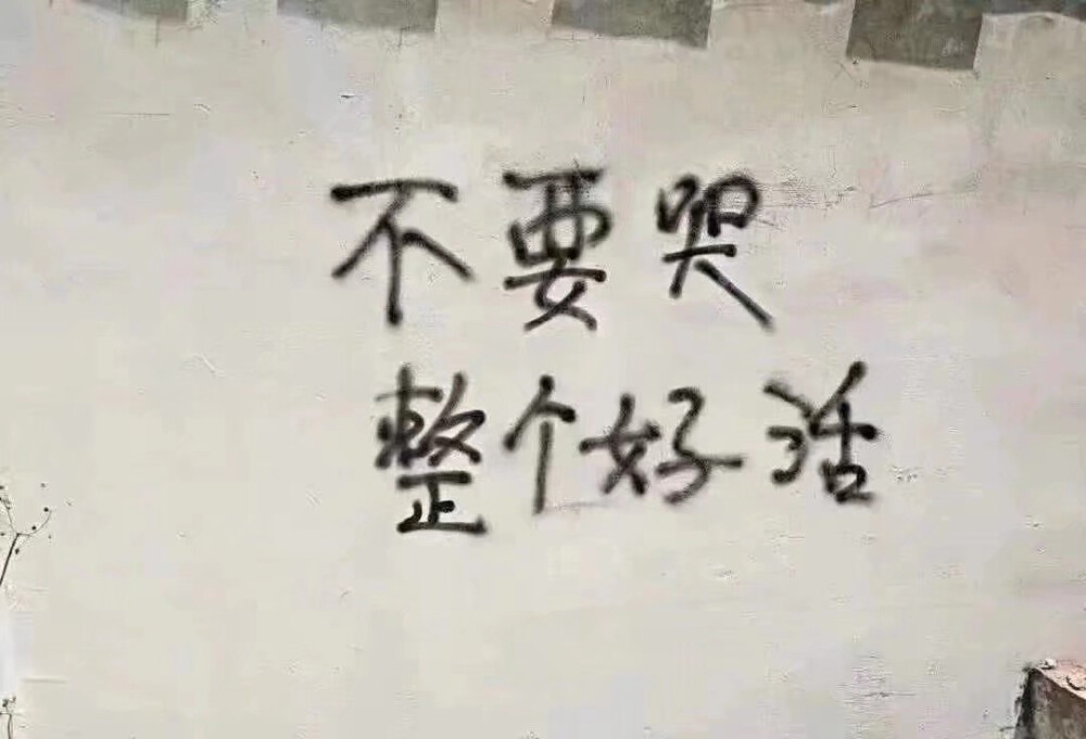 标语
侵权删