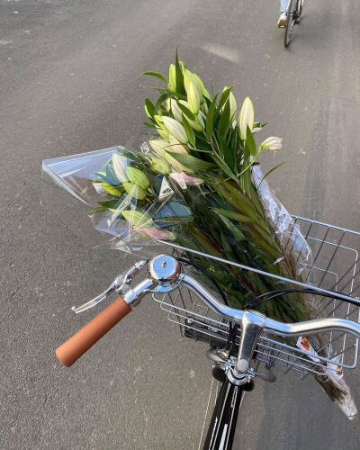 载满浪漫
©微博 peach4U·