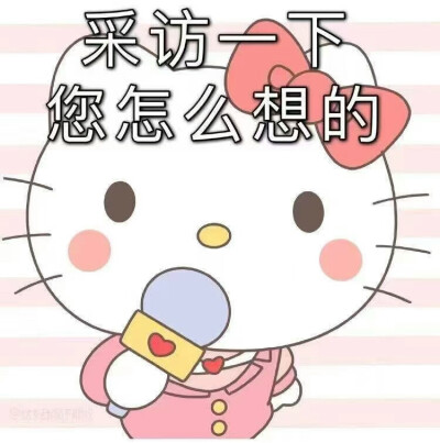 表情包Kitty