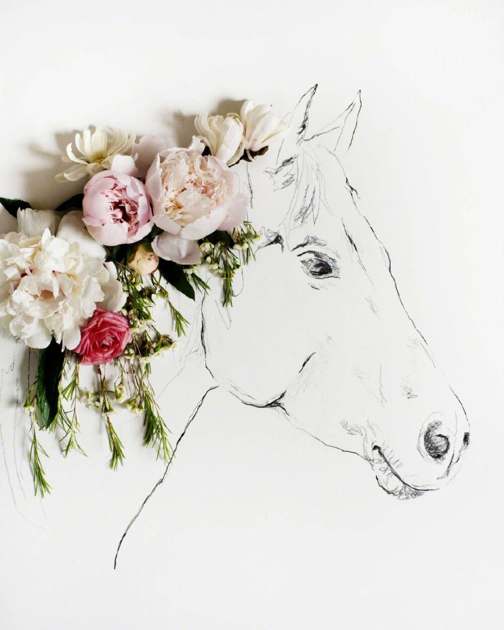 花与画，作者 Kari Herer 