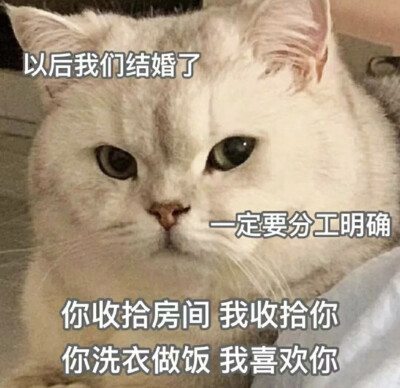 表情