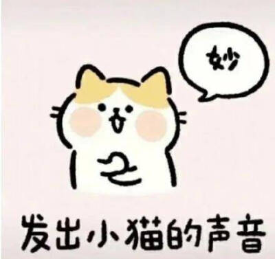 表情