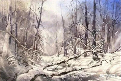 Wiktor Mielniczuk，是一位来自波兰的水彩艺术家、建筑家、插画师以及设计师。他一直将自已对建筑的兴趣与对艺术的热情相结合，创作出许多优秀水彩城市景观作品。Wiktor Mielniczuk的作品以冷色调的配色为大多数，结…