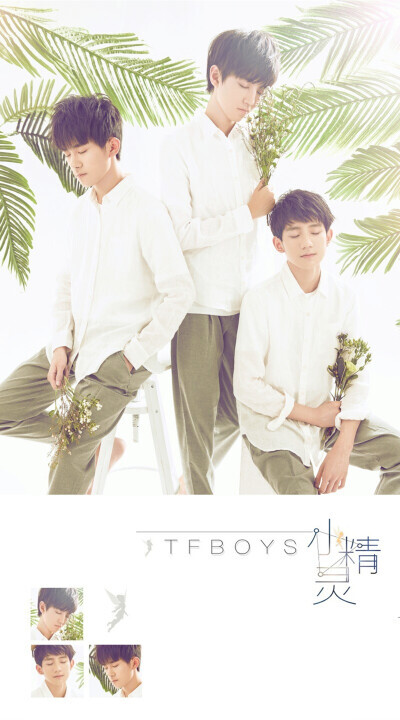 TFBOYS