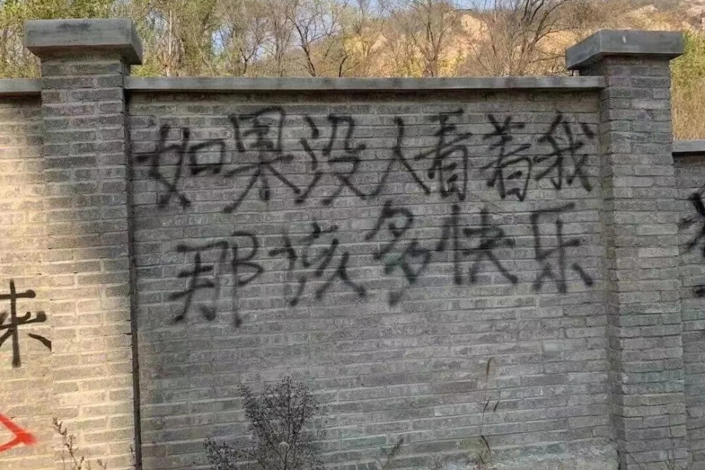 我在你的回忆里是空白