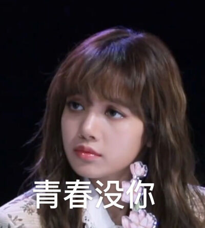 blackpink Lisa 表情包 