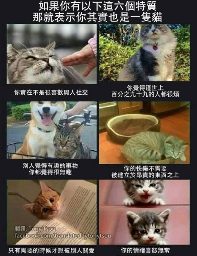 乱七八糟