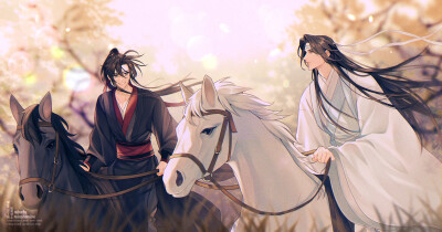 MDZS