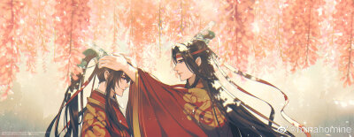 MDZS