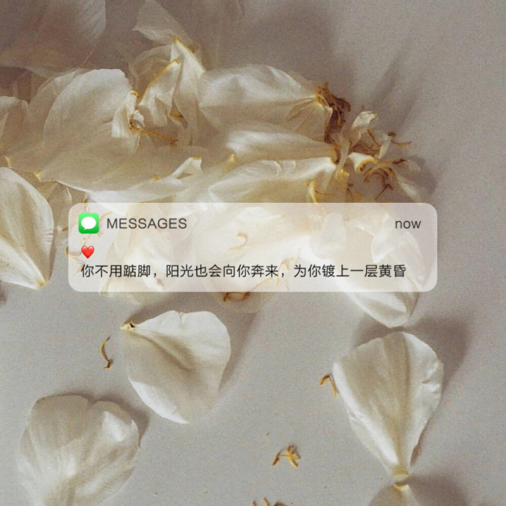 Messages文案 | 朋友圈背景图